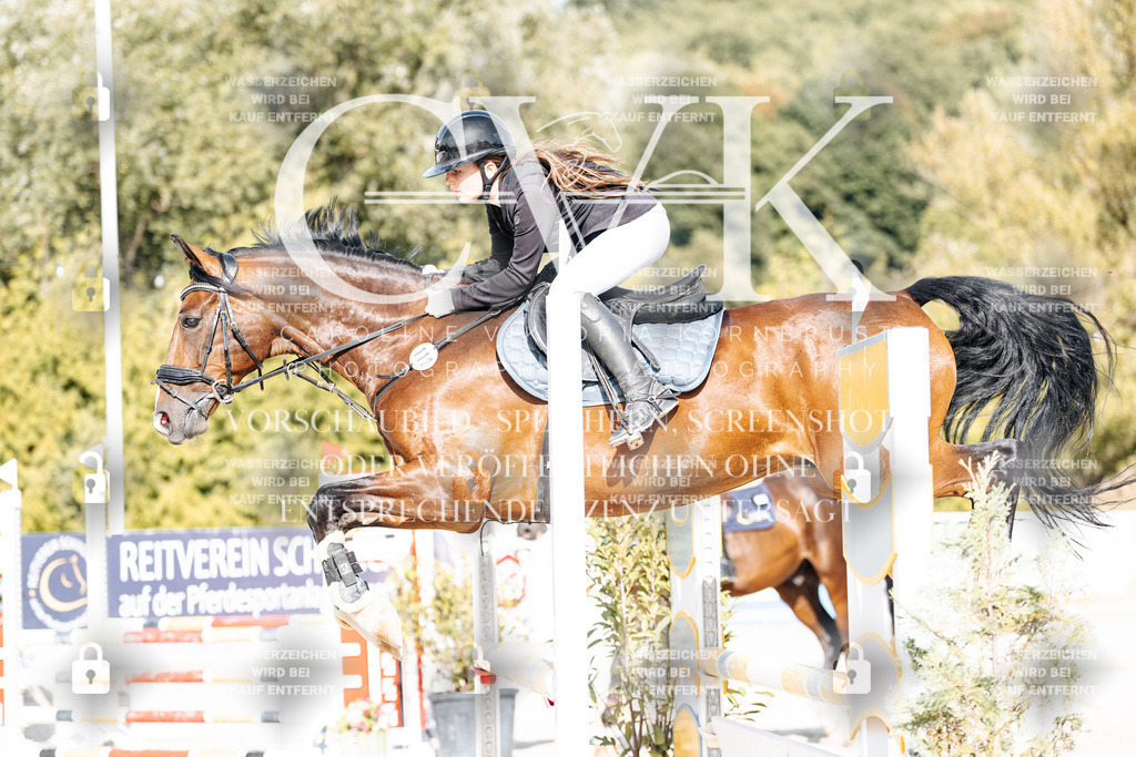 CK909227 | Turnierfotografie Pferdefotografie Trier Rheinland-Pfalz Pferdesport Reitsport Tierfotografie Sportfotografie Pferdevideo Pferdevideografie Equestrianvideography equestrianphotography  - Realisiert mit Pictrs.com