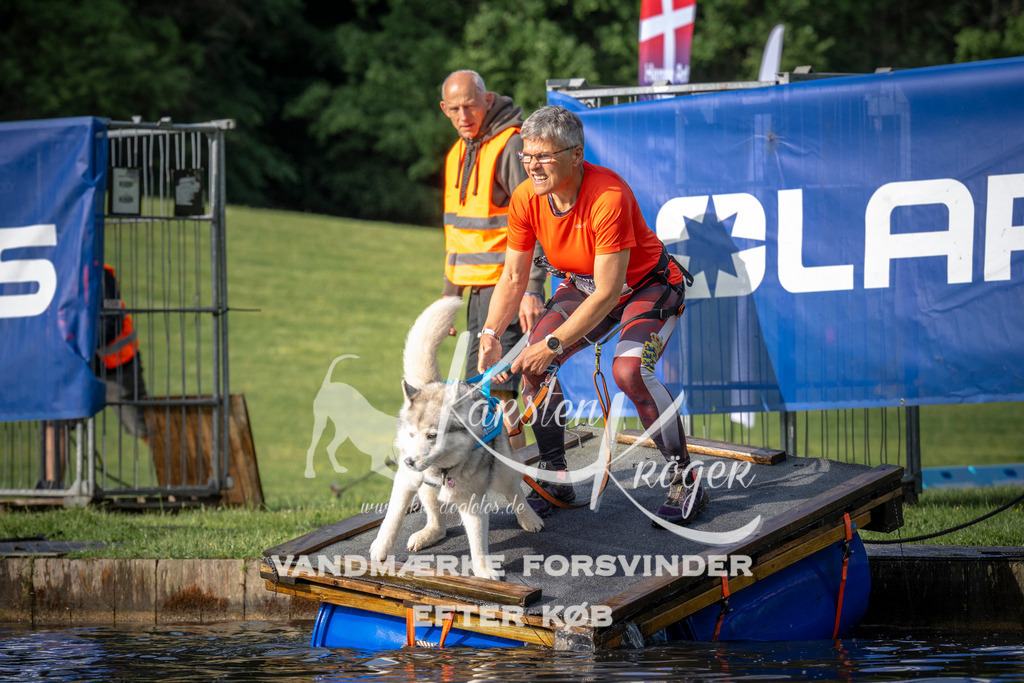 _ZZ939560710 | kk-dogfotos