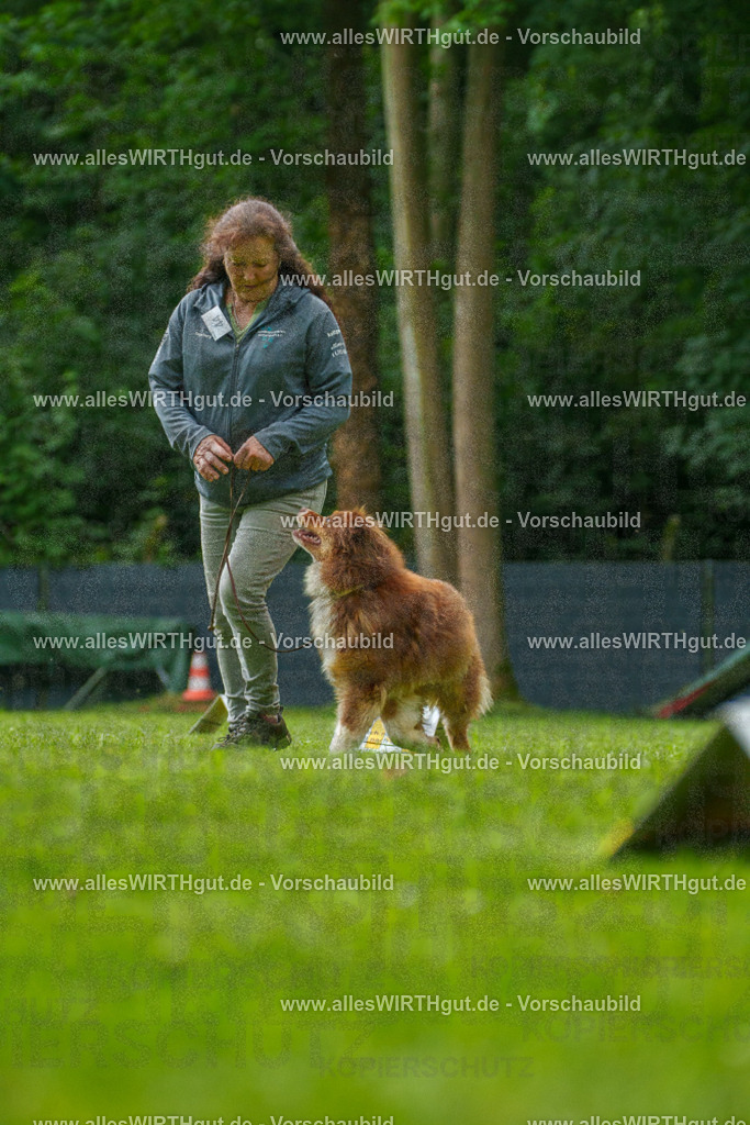 @allesWIRTHgut_Tierfotografie - www.allesWIRTHgut.de - 7R505103 | Professionelle Tierfotografie in Mönchengladbach von Daniel Wirth (allesWIRTHgut). Liebevolle & natürliche Bilder von Hunden & Katzen für unvergessliche Erinnerungen.