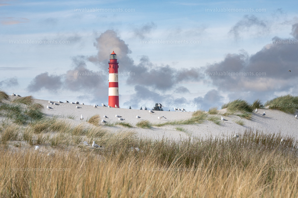 DSC_5789 | invaluablemoments.com - Realisiert mit Pictrs.com