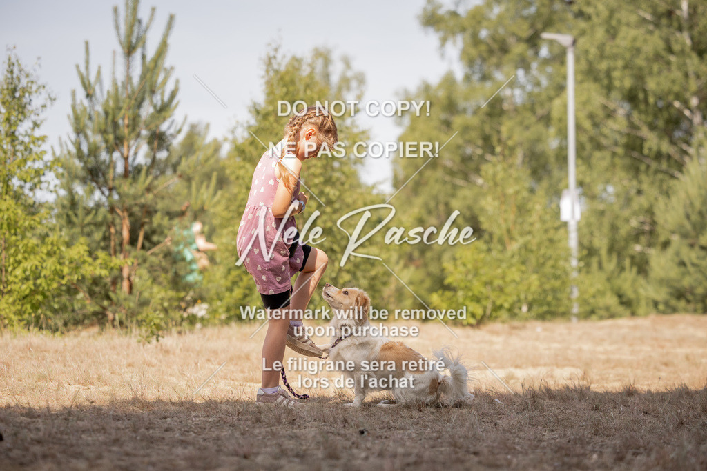 nelerasche_soDD2_281 | nelerasche