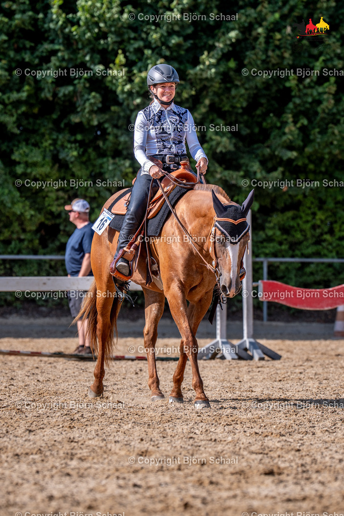 LMS07310 | BS-foto