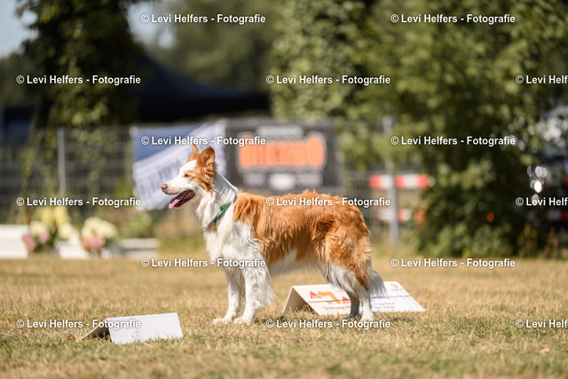 _DSC6745 | levihelfersfotografie
