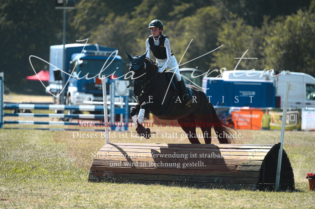 DSC_8335 | Pferde- und Turnierfotografie in Westsachsen. Pferdeportraits, Auftragszeichnungen und intuitive Kunst.