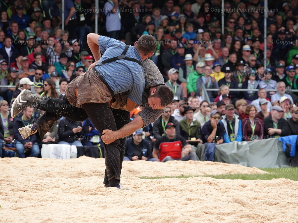 DSC08046 | Schwingen - Realisiert mit Pictrs.com