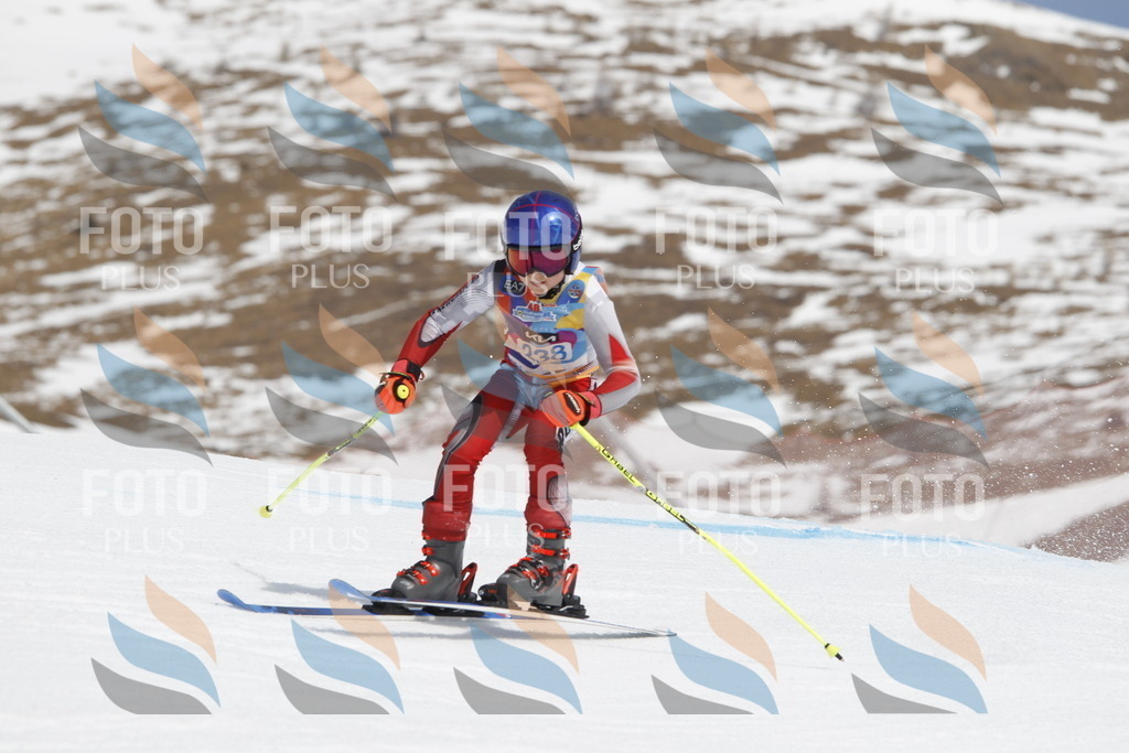 _U3G2647 | holidayphoto