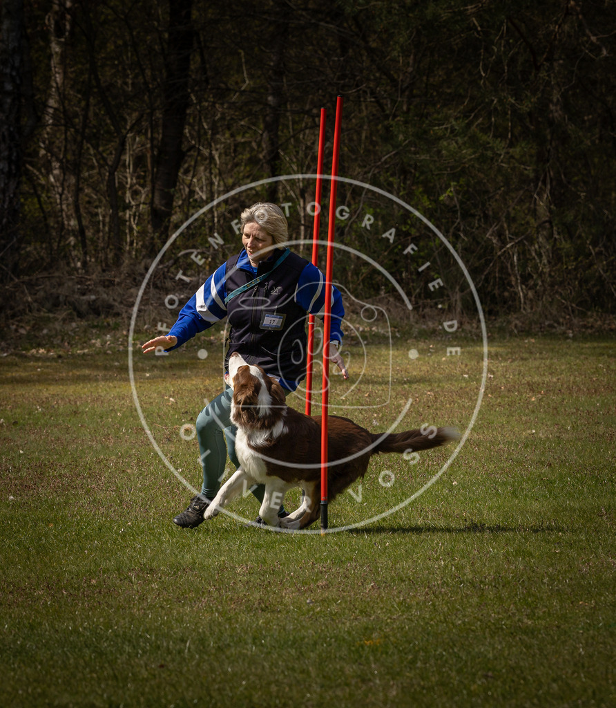 Pfotenfotografie_DV3A4194 | Hundefotografie, Tierfotograf, Pfotenfotografie, Fotoshooting Hund, Hunde Portrait, Hundesport, Hundeportraits, Heideshooting, Hunde, Sportfotograf, Hundefotograf, Turnierhundsport, THS,  - Realisiert mit Pictrs.com