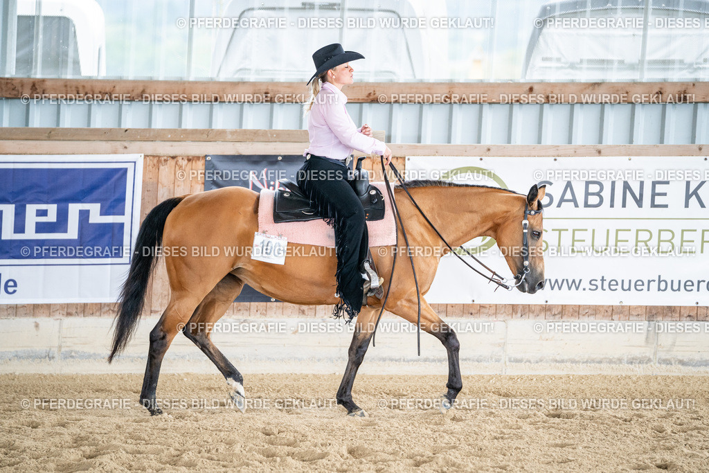 DSC02197 | Pferdegrafie