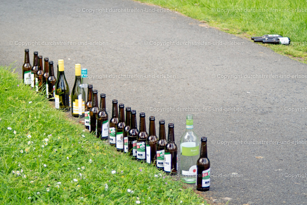 Die einen Bierflaschen stehen am Vatertag noch aufrecht. Die anderen schaffen das nicht mehr. | Im Grünen haben Feiernde am Vatertag Bier- und Weinflaschen zu einer menschlich wirkenden Schlange  und einer liegenden Gruppe aufgestellt. Dies war auch ein Blickfang für vorbeikommende Passanten. - Realisiert mit Pictrs.com