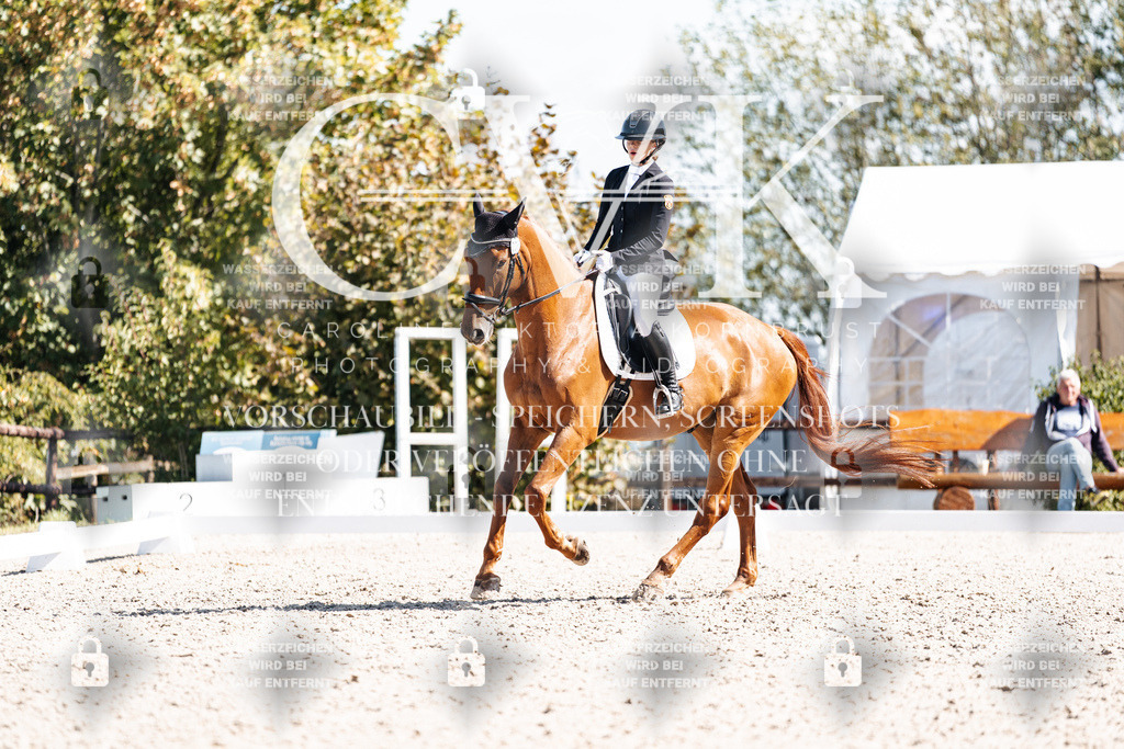 CK902853 | Turnierfotografie Pferdefotografie Trier Rheinland-Pfalz Pferdesport Reitsport Tierfotografie Sportfotografie Pferdevideo Pferdevideografie Equestrianvideography equestrianphotography  - Realisiert mit Pictrs.com
