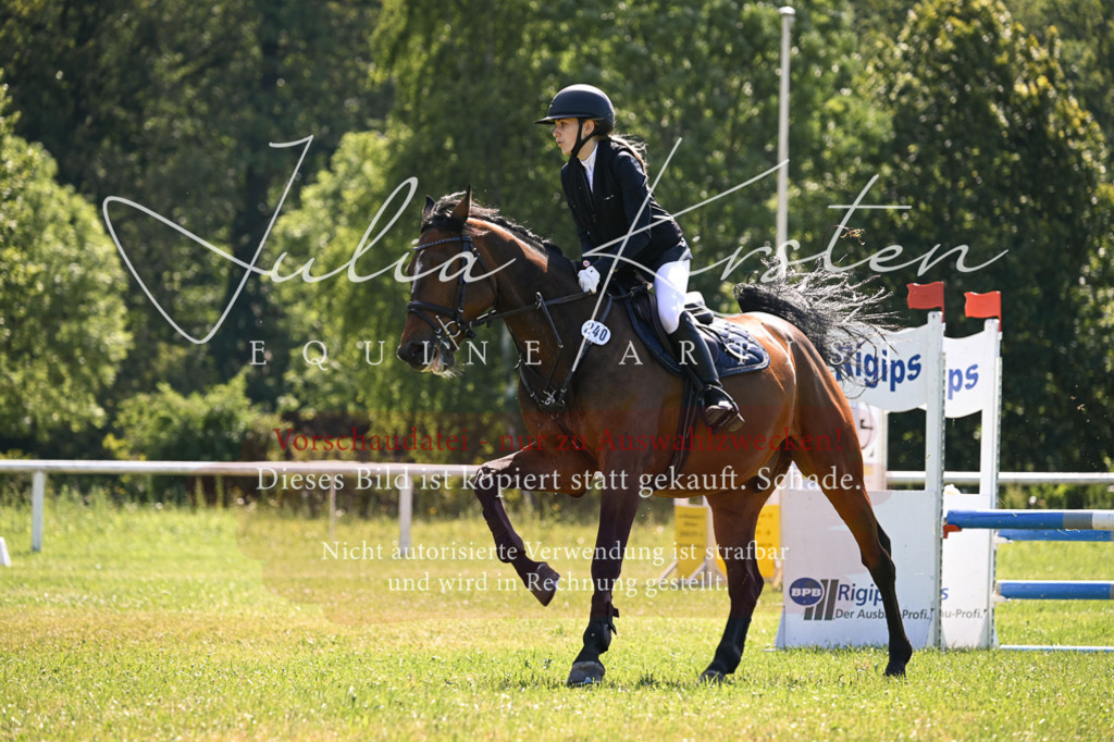 DSC_8701 | Pferde- und Turnierfotografie in Westsachsen. Pferdeportraits, Auftragszeichnungen und intuitive Kunst.