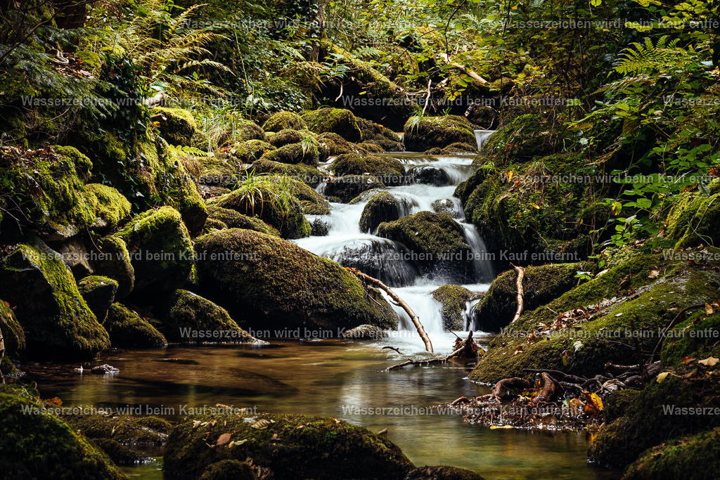 Heilwelle des Friedens | Die Botschaft zum Bild lautet: Das Leben in seiner Urform, eine tiefe Heilwelle des Friedens, der vollkommenen Gesundheit, erreicht dich hier in diesem Bild. Du bist umgeben von diesen Energien, und du spürst, dass du dich endlich wieder wohl fühlst. Nimm diese Energie auf für deine Heilung.