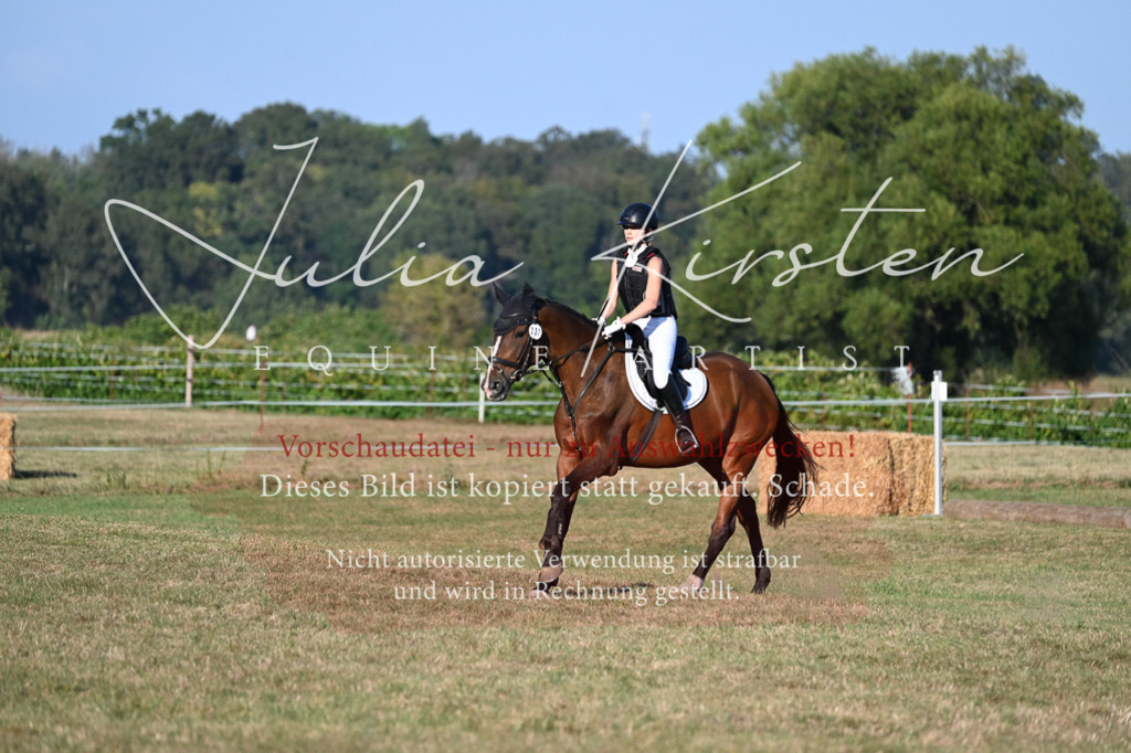 DSC_9152 | Pferde- und Turnierfotografie in Westsachsen. Pferdeportraits, Auftragszeichnungen und intuitive Kunst.