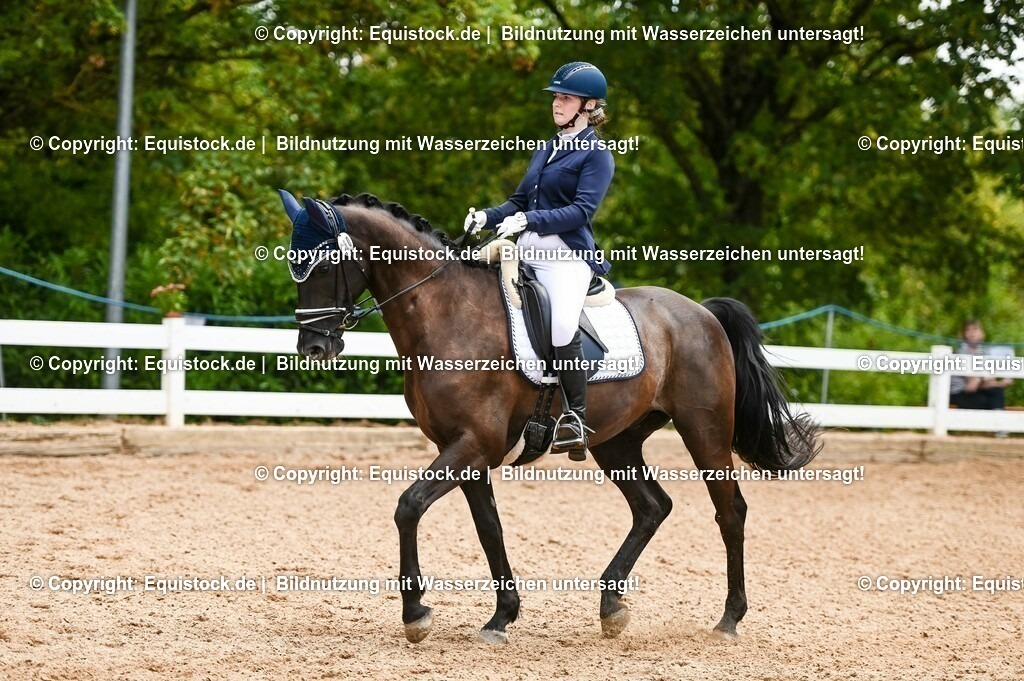 20230716_03_Dressurprfg. Kl.L - Tr._0643 | equistock