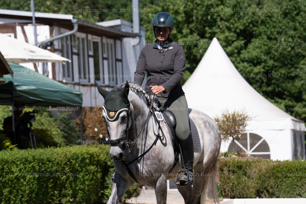 WL_DR_69_sinafilmart_IN07149 | working equitationturnier fotograf videograf stoibphotography marixx film working equitation deutschland reitsport turnierfotografie eventfotografie equestrian events