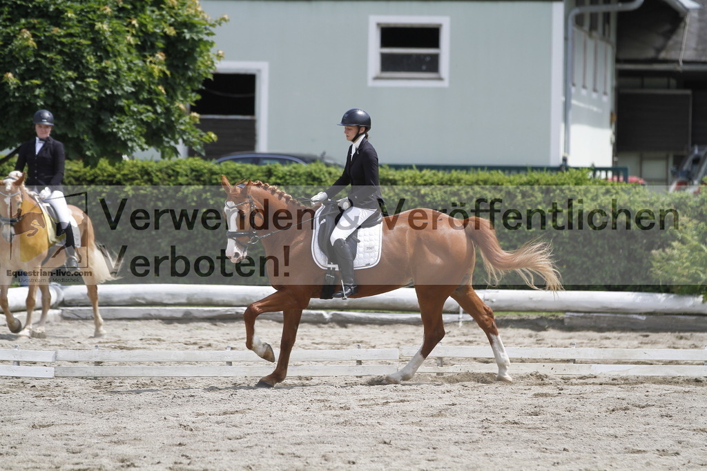 _MG_8677 | equestrian-live-com