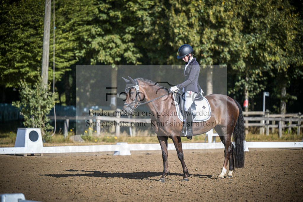 DOS_0694 | Entdecke hochwertige Reitturnierfotos von Foto Oger. Professionell, emotional und authentisch – jetzt Lieblingsmomente im Shop bestellen.Deutschlandweite Turnierfotografie. - Realisiert mit Pictrs.com