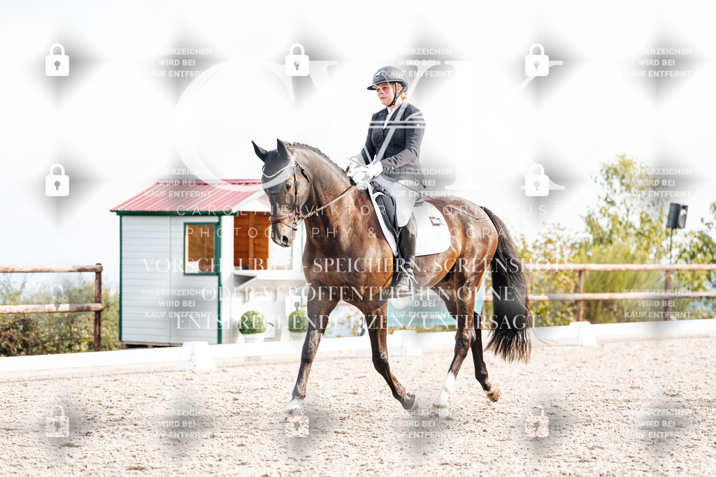 CK901194 | Turnierfotografie Pferdefotografie Trier Rheinland-Pfalz Pferdesport Reitsport Tierfotografie Sportfotografie Pferdevideo Pferdevideografie Equestrianvideography equestrianphotography  - Realisiert mit Pictrs.com