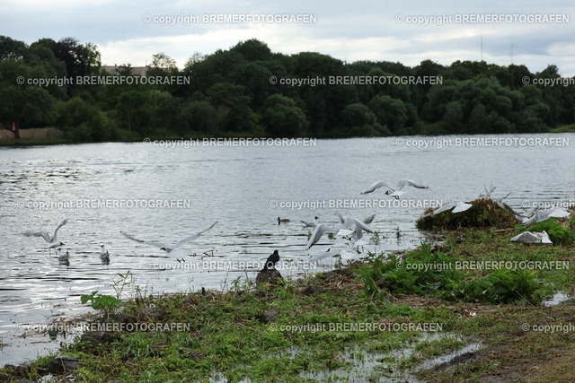 1B1A8918 | Breminale 15.07.2022