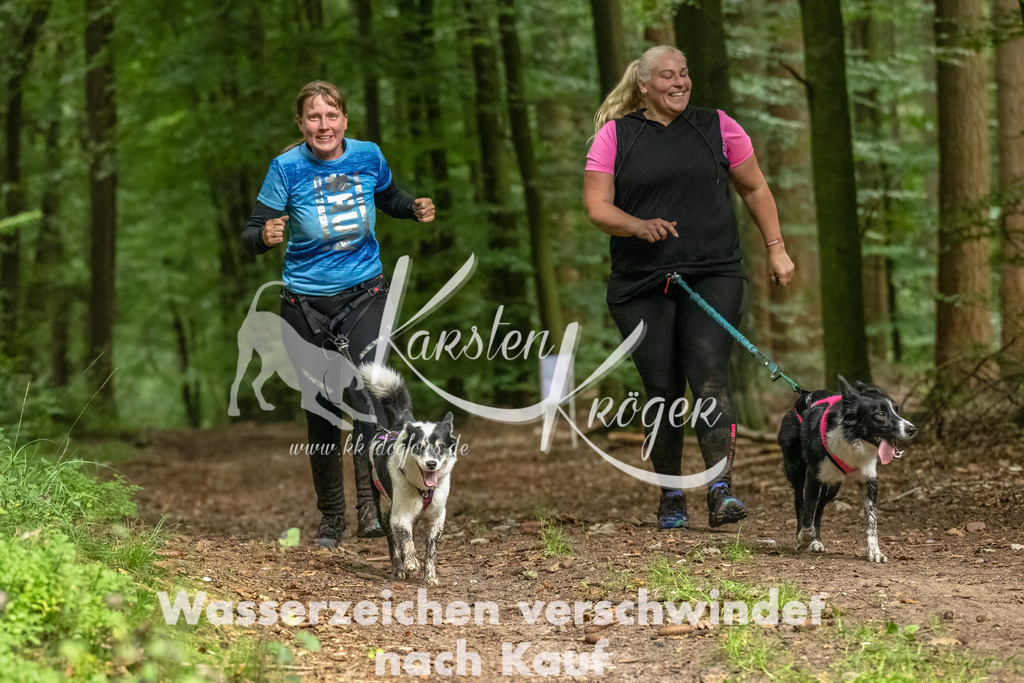 1236_ZZ91312-Bearbeitet-2 | kk-dogfotos