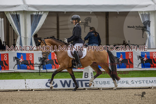 27.07.25 OLT D1 48 DR (207) | mandyhollmannphotographie