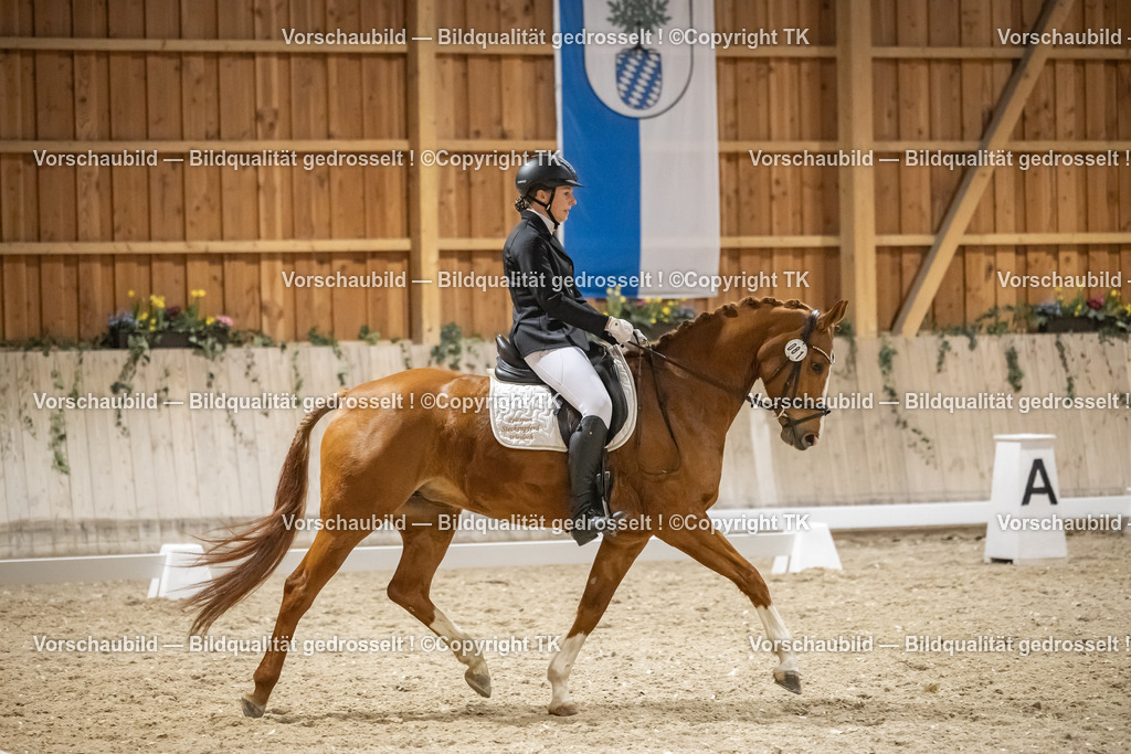 _D5A0852 | Emotionale Pferde- & People-Fotografie rund um Heidelberg, Leimen & Umgebung. Natürliche Fotos von Pferd, Mensch & Familie. Jetzt Termin sichern!