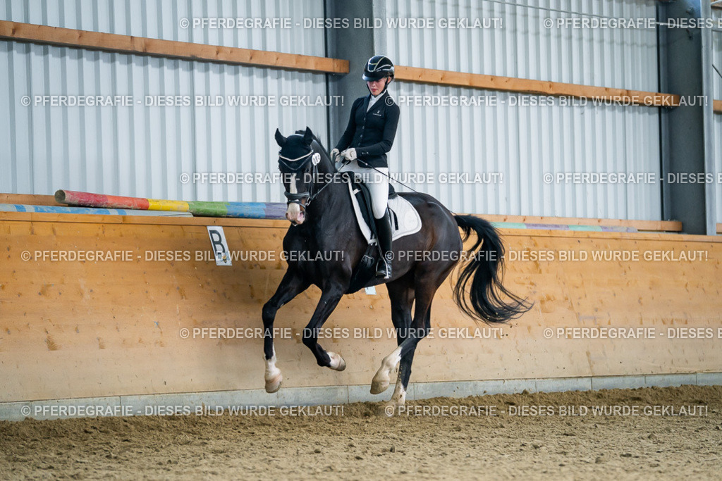 DSC05897 | Pferdegrafie