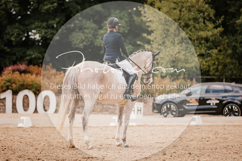 3I6A6152 | Stimmungsvolle Portraits und Reitsportfotografie im Ruhrgebiet und im Münsterland.

Pferdefotografie, Hundefotografie, Tierfotografie, Reportagen, Portraits von Tier und Mensch, Turnierfotografie in Bochum, Recklinghausen, Marl, Haltern am See, Dülmen.. - Realisiert mit Pictrs.com