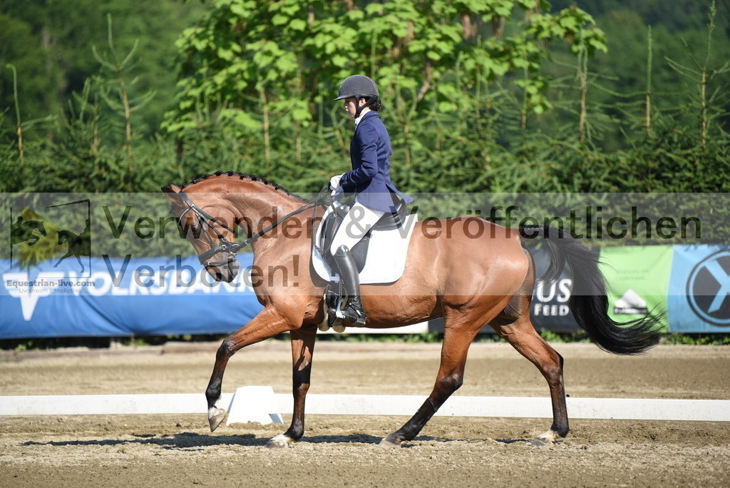 DSC_7196 | equestrian-live-com