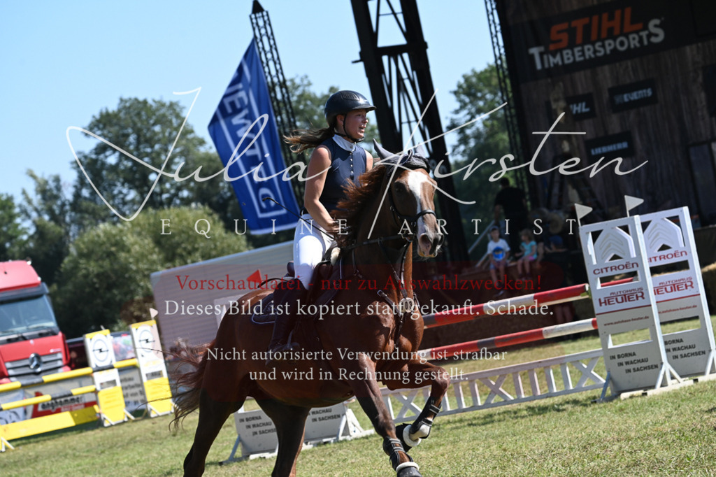 DSC_6464 | Pferde- und Turnierfotografie in Westsachsen. Pferdeportraits, Auftragszeichnungen und intuitive Kunst.