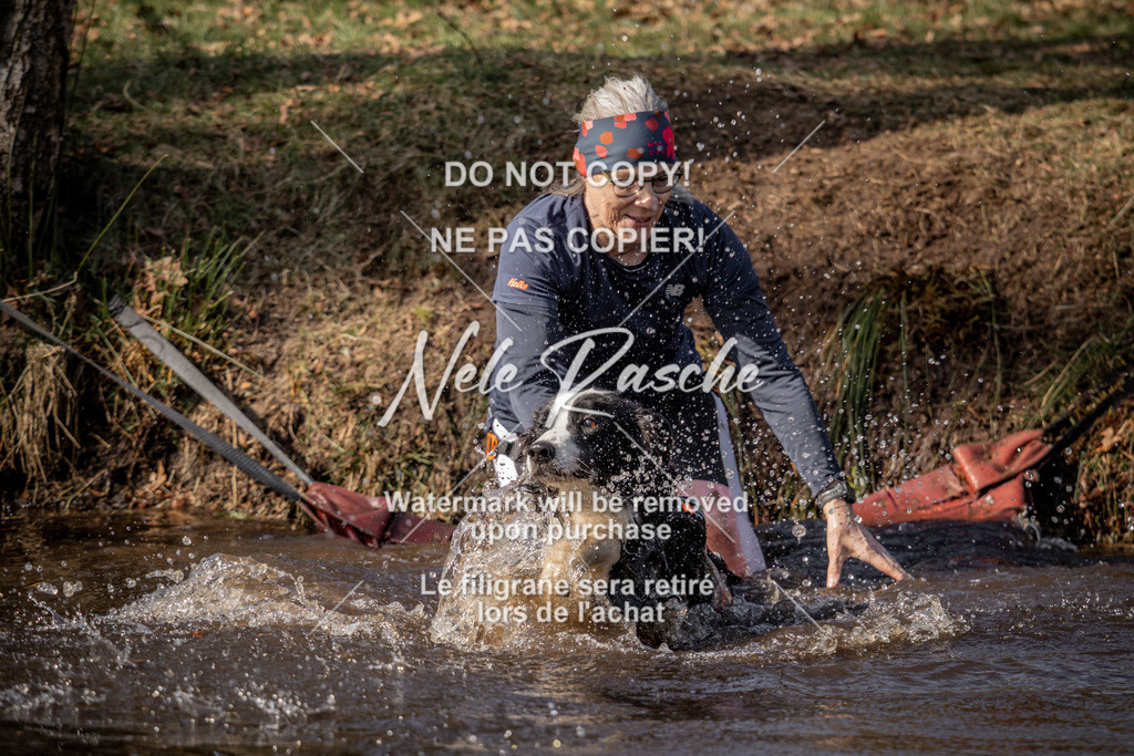 nelerasche_FS1330-1400_227 | nelerasche