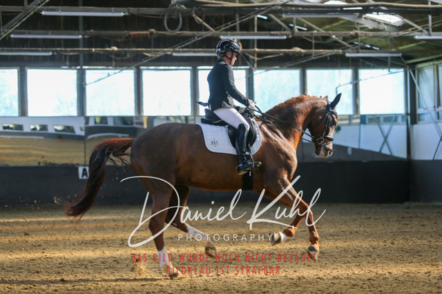 IMG_3018 | Turniersportfotografie; Pferdefotografie; Dressurfotografie