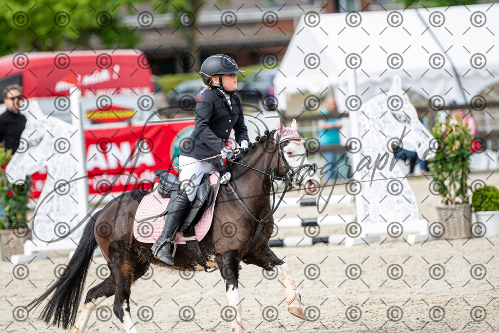 KPT_6109 | andre_photographic