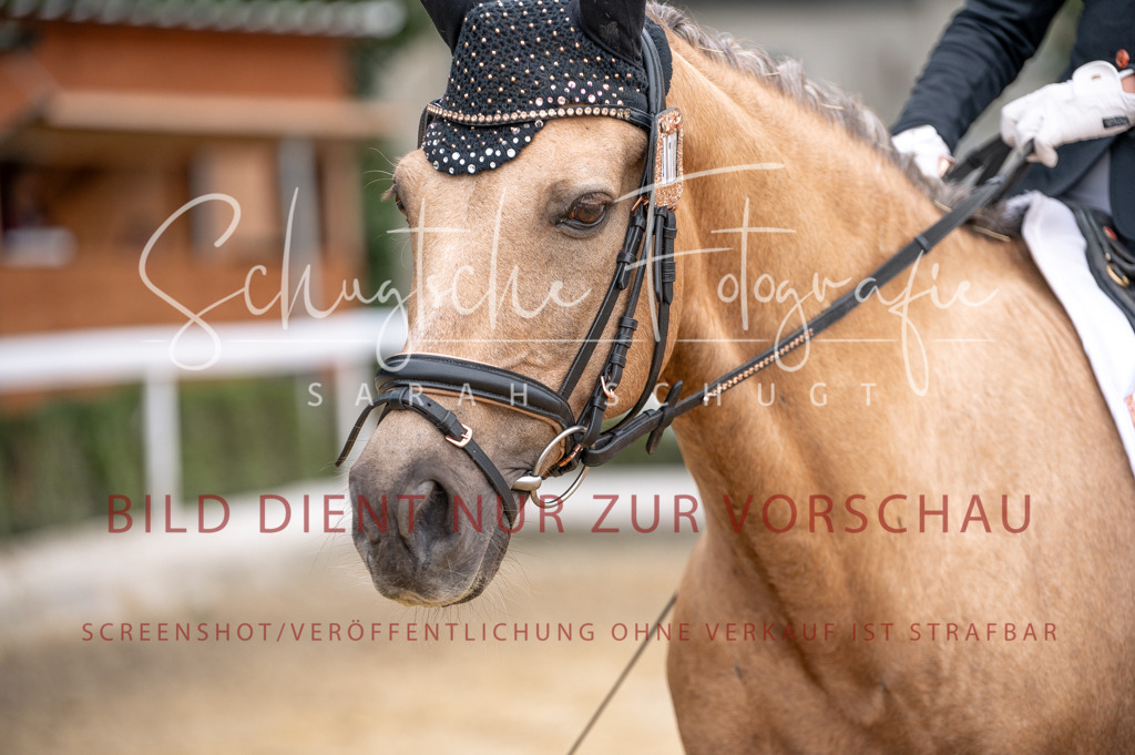 Schugtsche-Aluta25-40.DressurprfA_-384 | Schugtsche Fotografie - Realized with Pictrs.com
