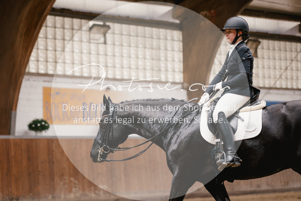 3I6A8597 | Stimmungsvolle Portraits und Reitsportfotografie im Ruhrgebiet und im Münsterland.

Pferdefotografie, Hundefotografie, Tierfotografie, Reportagen, Portraits von Tier und Mensch, Turnierfotografie in Bochum, Recklinghausen, Marl, Haltern am See, Dülmen.. - Realisiert mit Pictrs.com