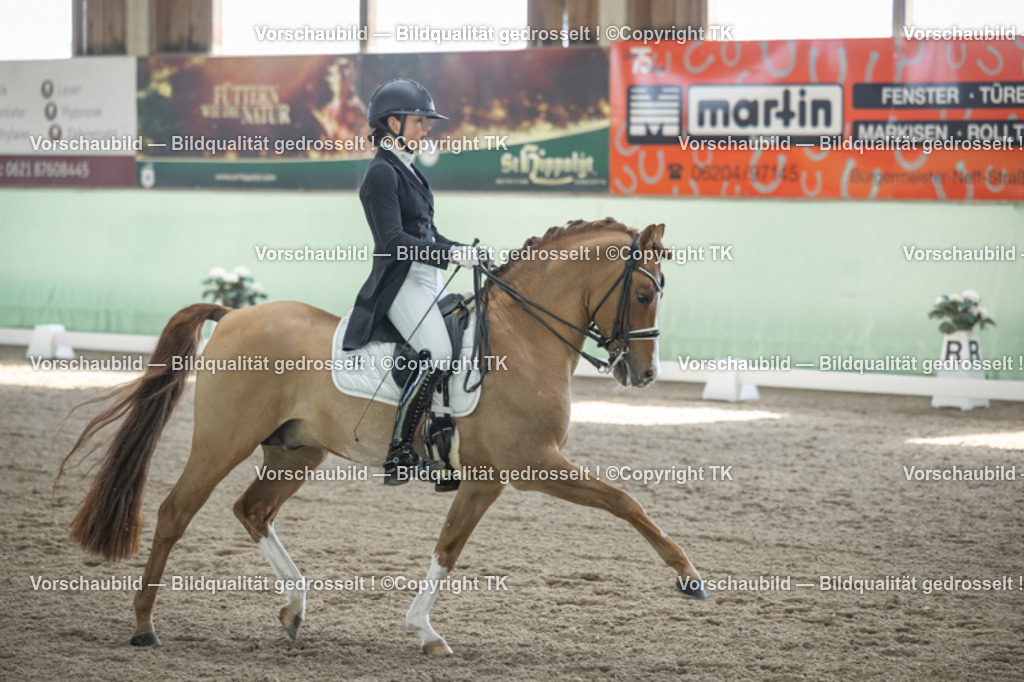 _D5A9395 | Emotionale Pferde- & People-Fotografie rund um Heidelberg, Leimen & Umgebung. Natürliche Fotos von Pferd, Mensch & Familie. Jetzt Termin sichern!