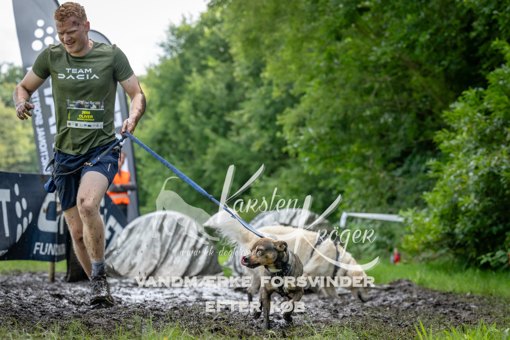 1136_ZZ93699 | kk-dogfotos