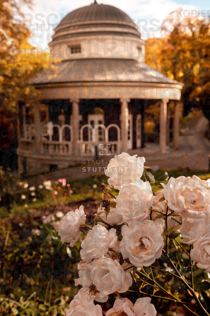 _DSC2401 | "Entdecken Sie atemberaubende Bilder von Stuttgart im Fotowerk Stuttgart! Kaufen Sie hochwertige Fotos auf Leinwand oder laden Sie digitale Downloads für Ihre Wohnung oder Büros herunter.  - Realisiert mit Pictrs.com
