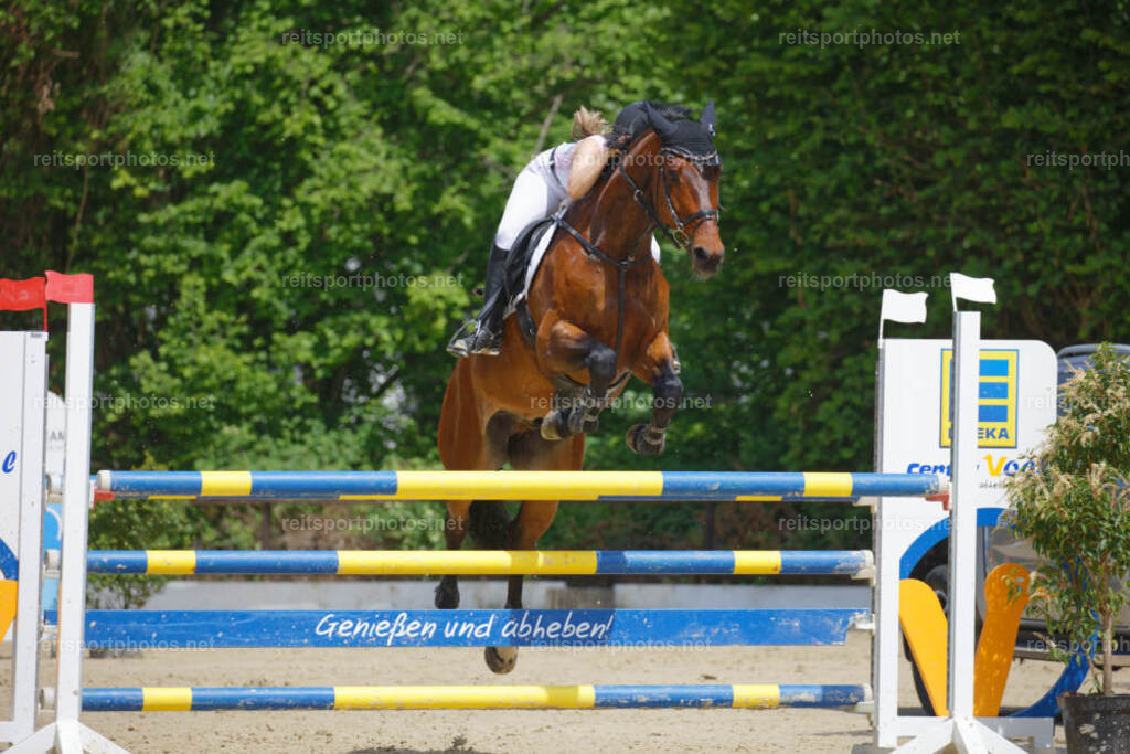 JHE_2447 | JoYa Fotografie - Realisiert mit Pictrs.com