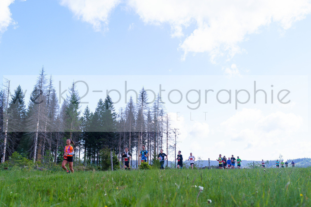 Rennsteiglauf Marathon 2025 | Marathon von Neuhaus/Rwg. nach Schmiedefeld/Rstg. am 17. Mai 2025