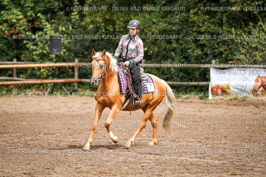 DSC04604 | Pferdegrafie