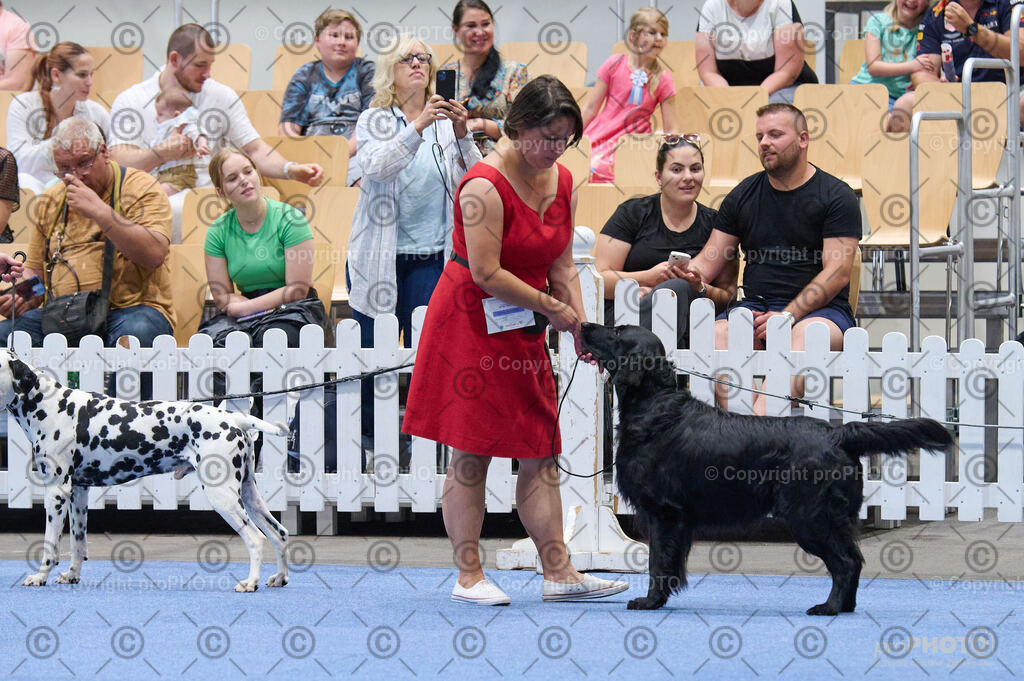 202406_ÖKV-IHA-Tulln24_DSC_4848 | proPHOTO - Realisiert mit Pictrs.com