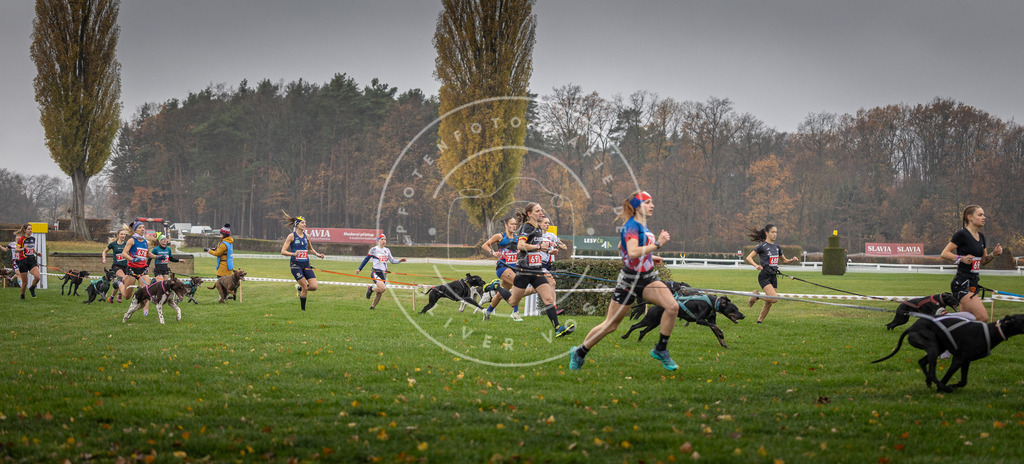 CaniXpix_DV3A8761 | Hundefotografie, Tierfotograf, Pfotenfotografie, Fotoshooting Hund, Hunde Portrait, Hundesport, Hundeportraits, Heideshooting, Hunde, Sportfotograf, Hundefotograf, Turnierhundsport, THS,  - Realisiert mit Pictrs.com