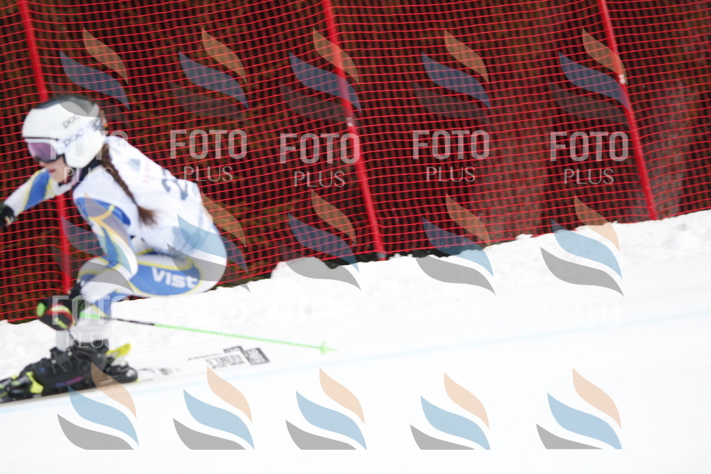 D5015 | holidayphoto