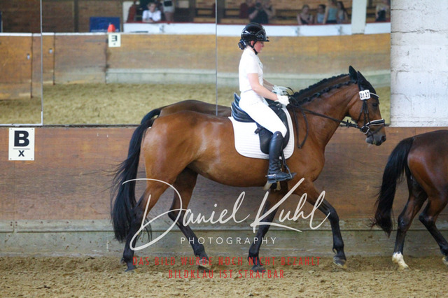 DKP44314 | Turniersportfotografie; Pferdefotografie; Dressurfotografie