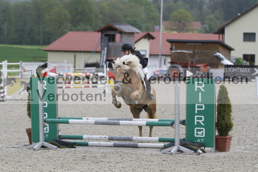 _MG_0767 | equestrian-live-com
