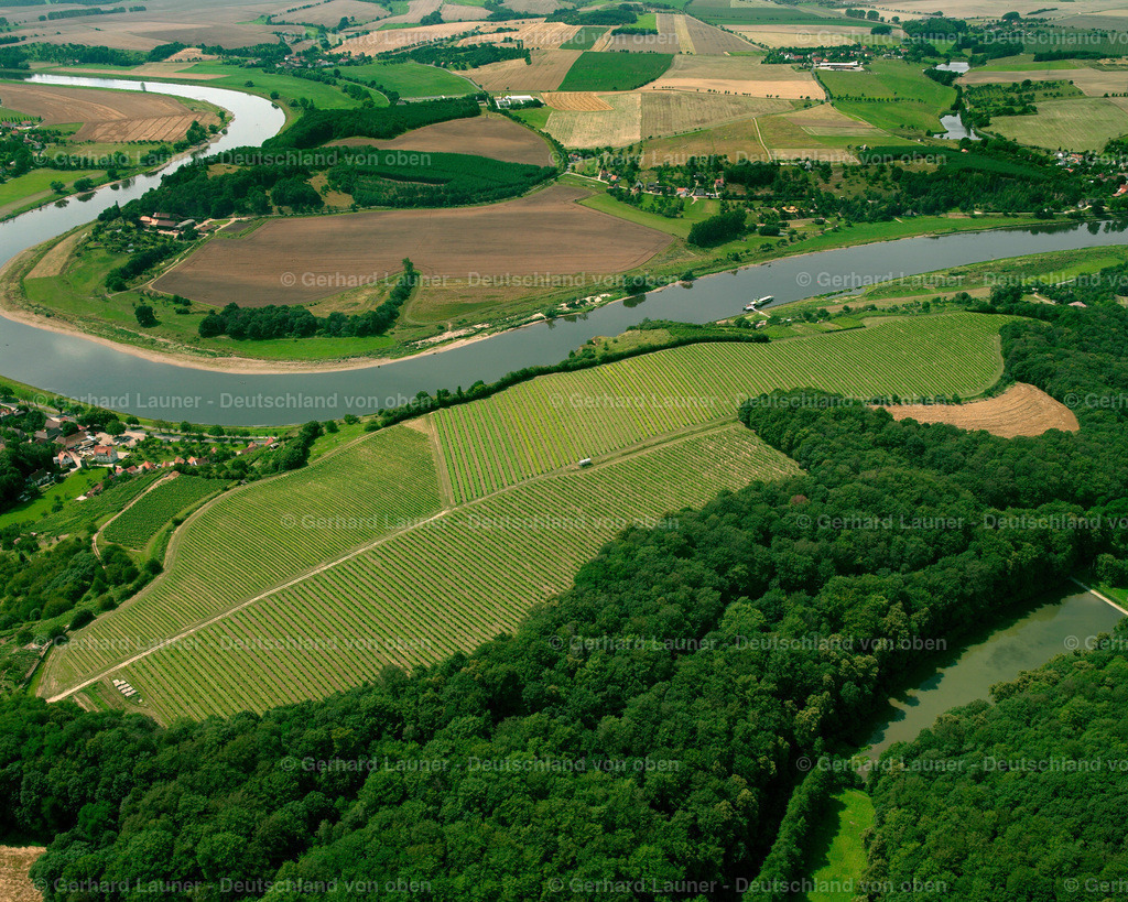 2417467 | Weinberge bei Seußlitz
