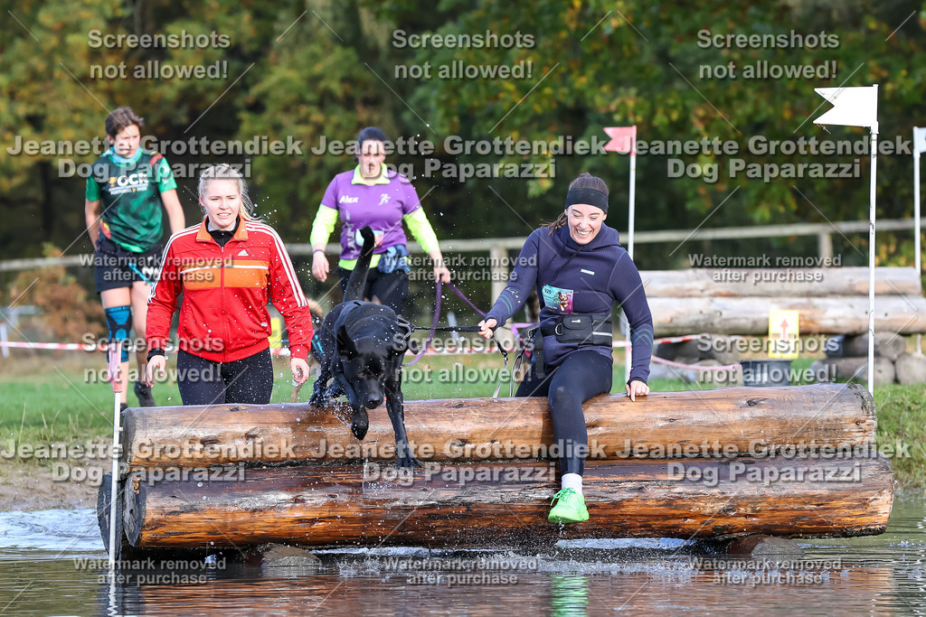 Dog Paparazzi - Strongdog 10-25-8268 | Dog Paparazzi Jeanette Grottendiek Fotografie & Videografie - Realisiert mit Pictrs.com