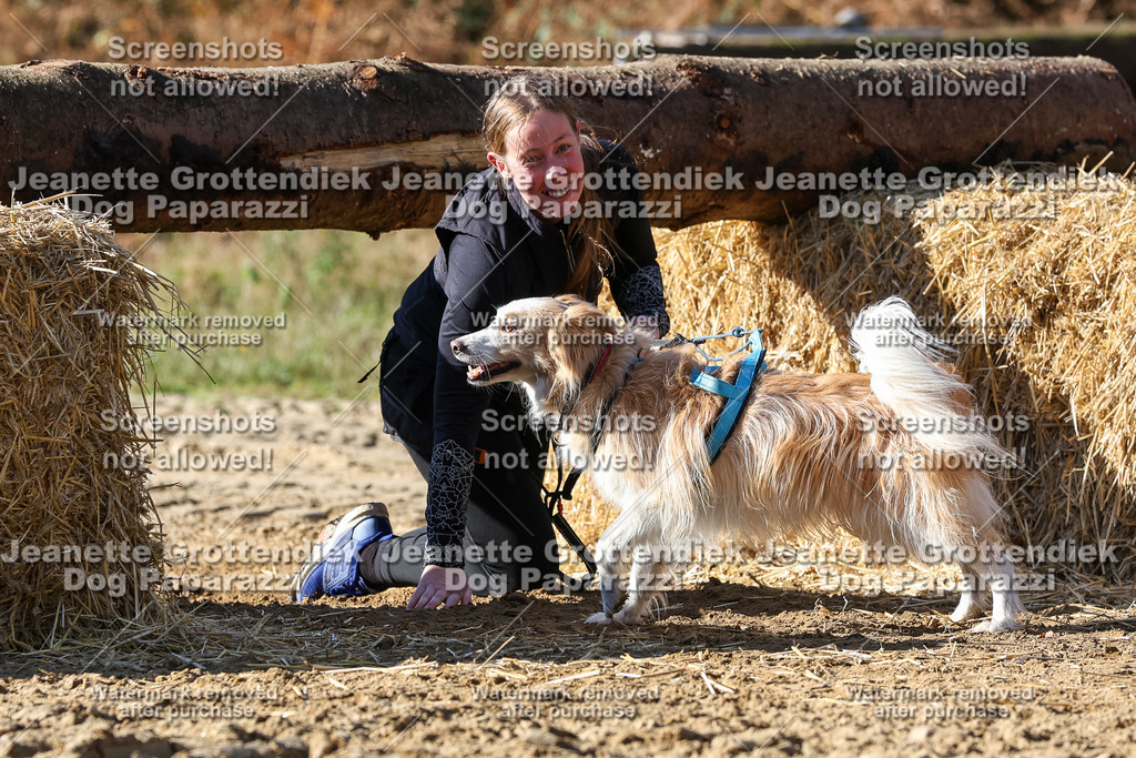 Dog Paparazzi - Strongdog 10-25-4694 | Dog Paparazzi Jeanette Grottendiek Fotografie & Videografie - Realisiert mit Pictrs.com