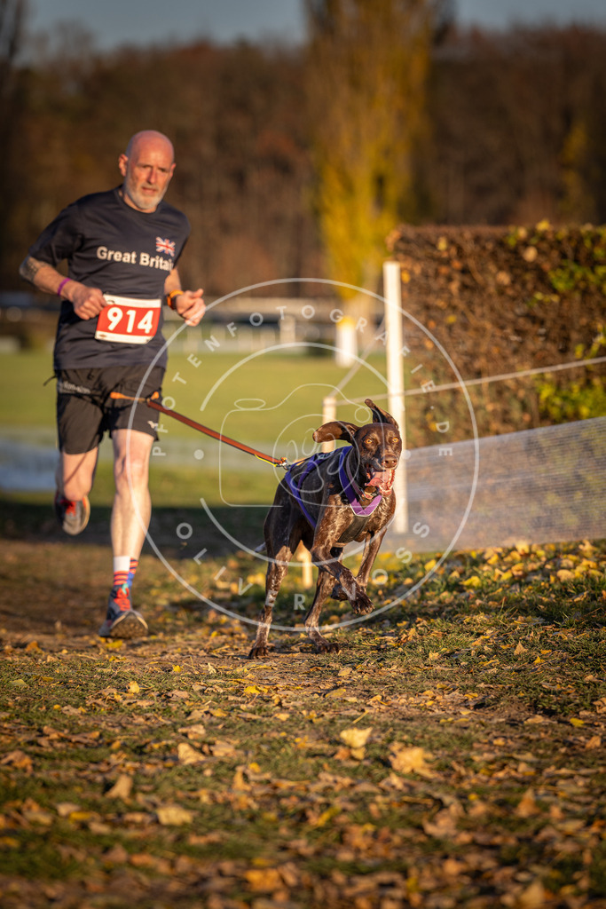 CaniXpix_DV3A4817 | Hundefotografie, Tierfotograf, Pfotenfotografie, Fotoshooting Hund, Hunde Portrait, Hundesport, Hundeportraits, Heideshooting, Hunde, Sportfotograf, Hundefotograf, Turnierhundsport, THS,  - Realisiert mit Pictrs.com